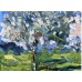 Spring Ukrainian Orchard — Original Oil Painting